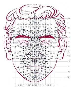 réflexologie faciale